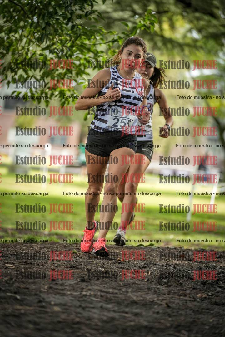 Fotos en el circuito