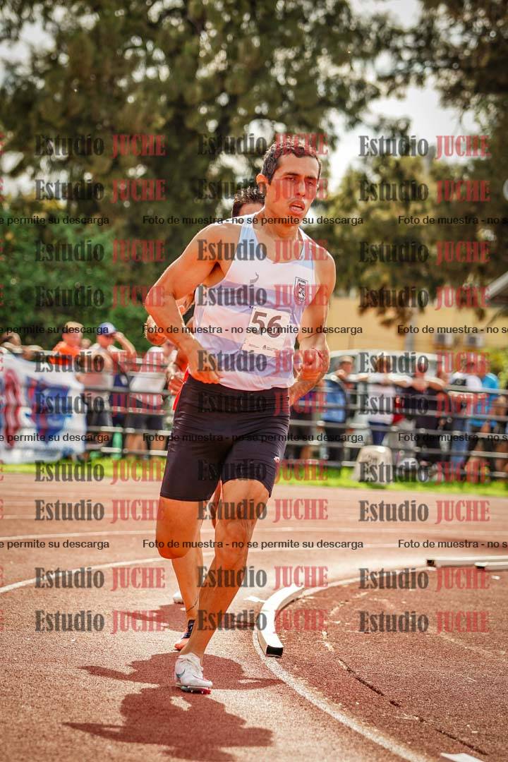 Fotos de los 800 m llanos de varones