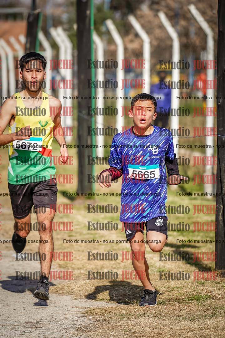 Fotos en el circuito