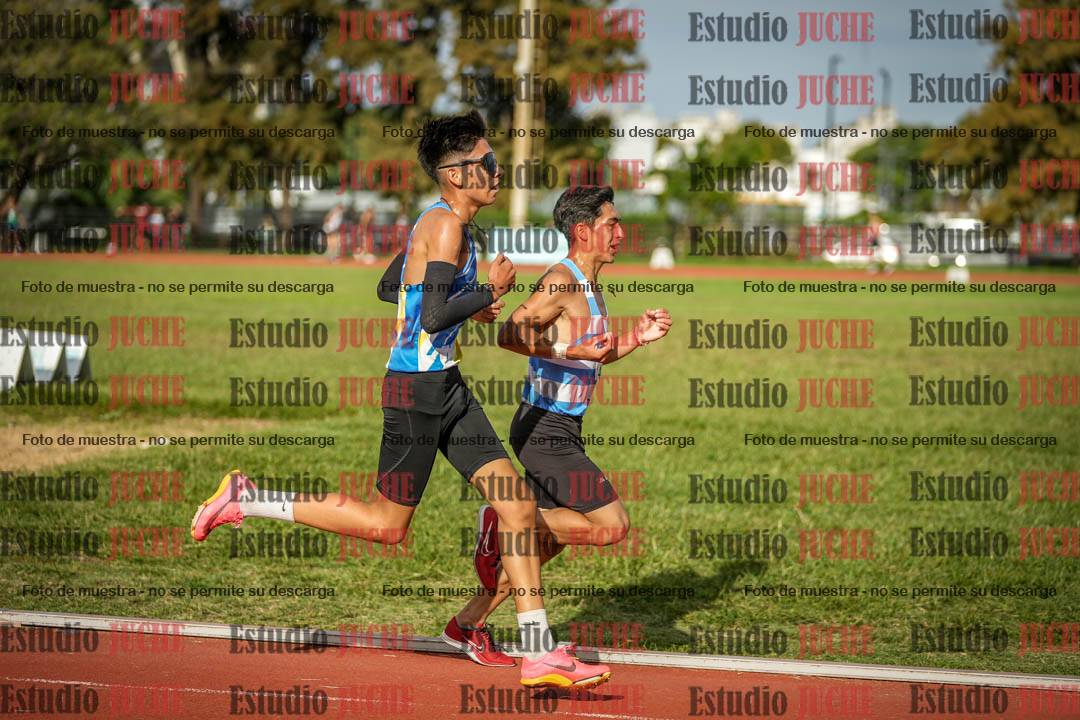 Fotos de los 3000 m llanos de varones