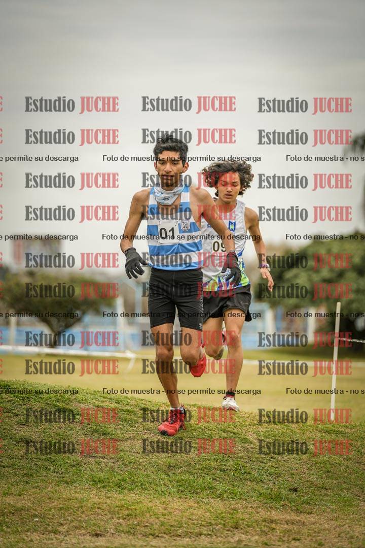 Fotos en el circuito
