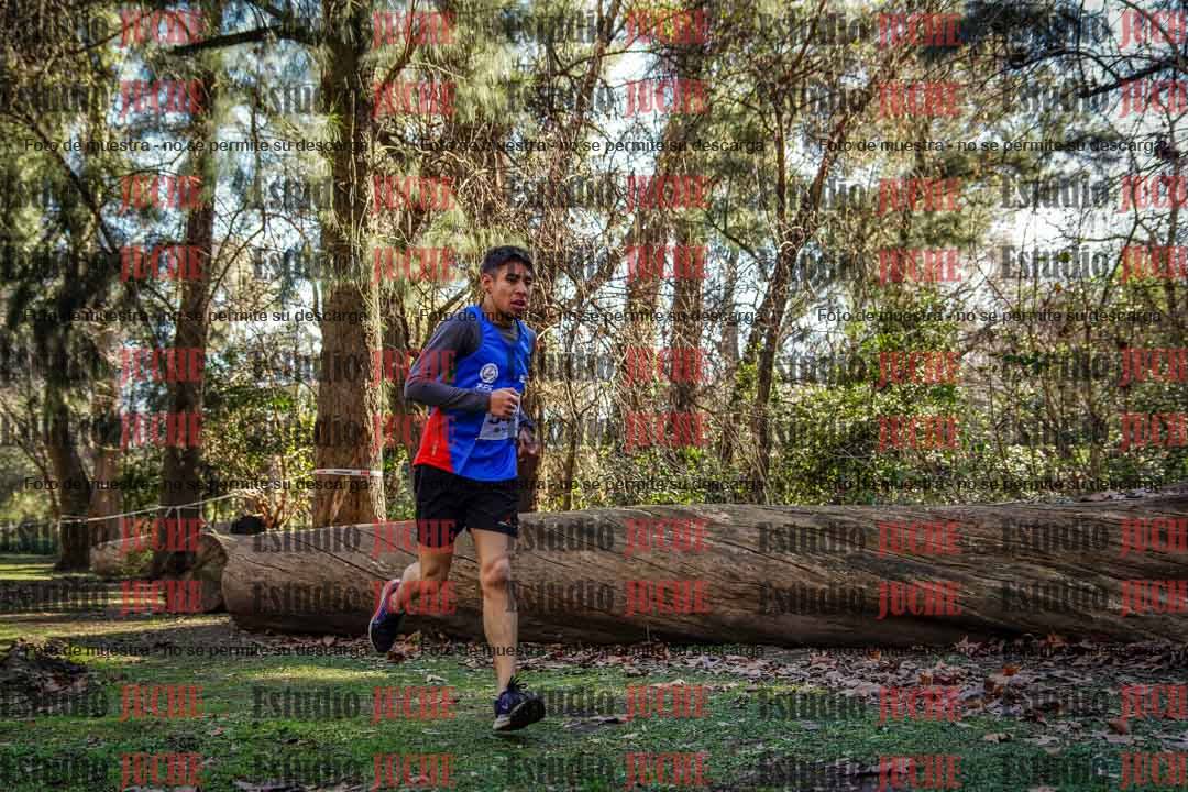 Fotos en el quinto punto del circuito