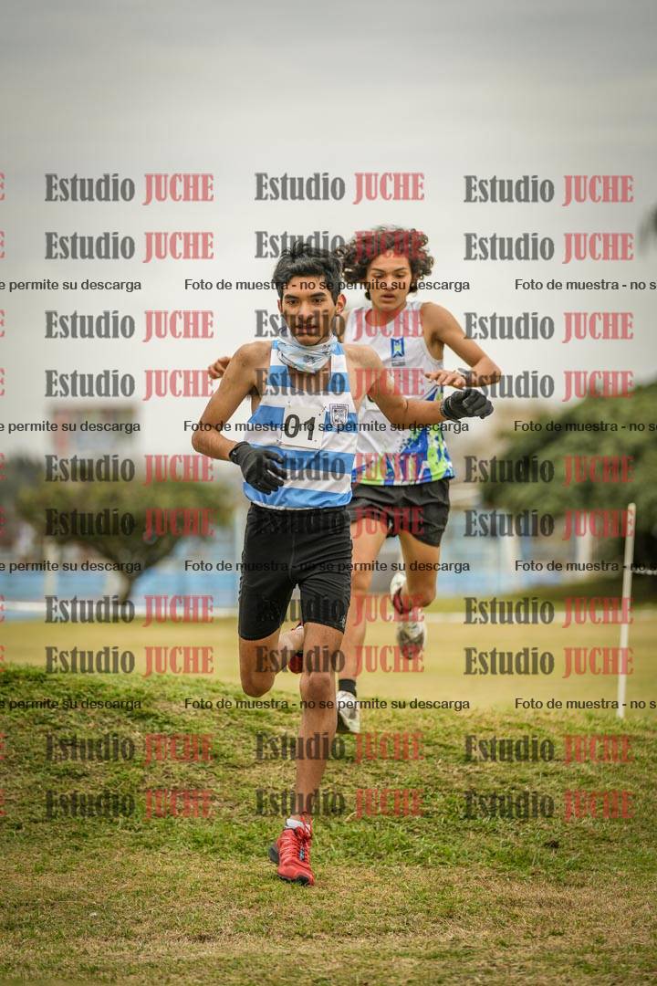Fotos en el circuito