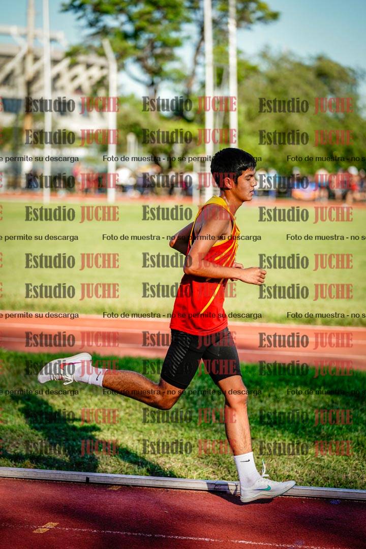 Fotos de los 3000 m llanos de varones