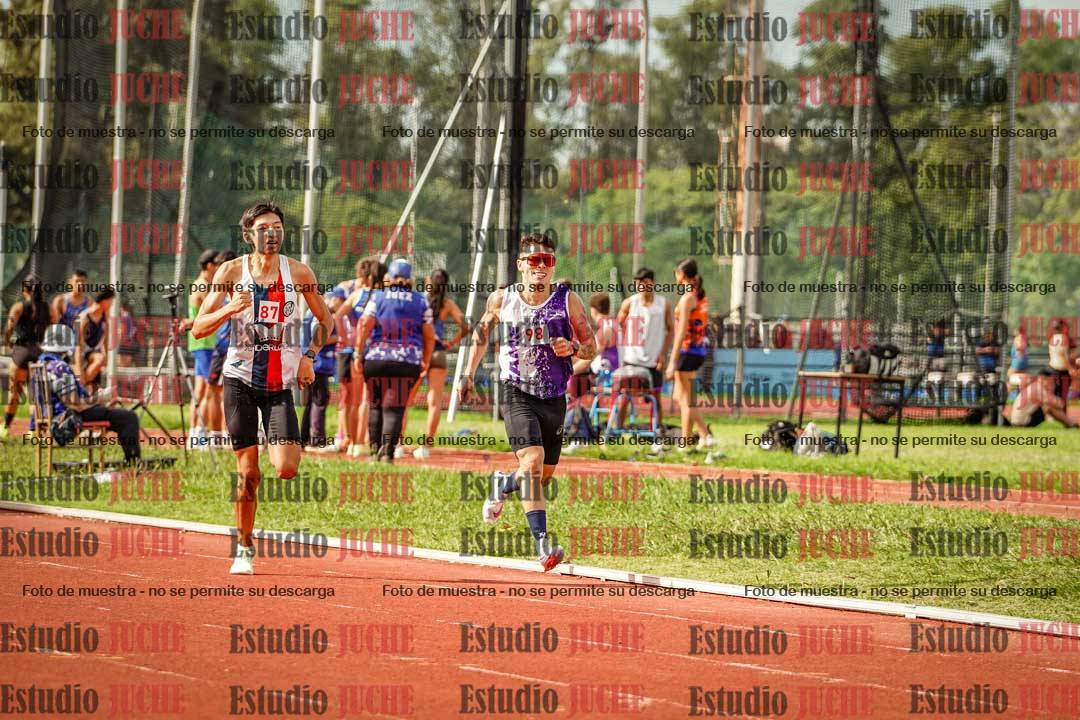 Fotos de los 800 m llanos de varones