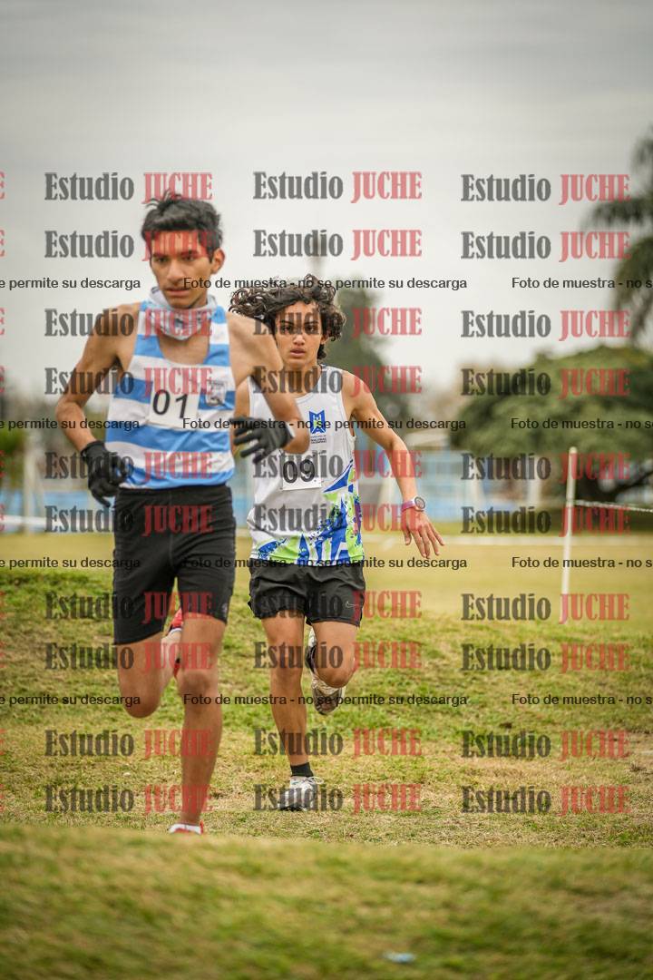 Fotos en el circuito