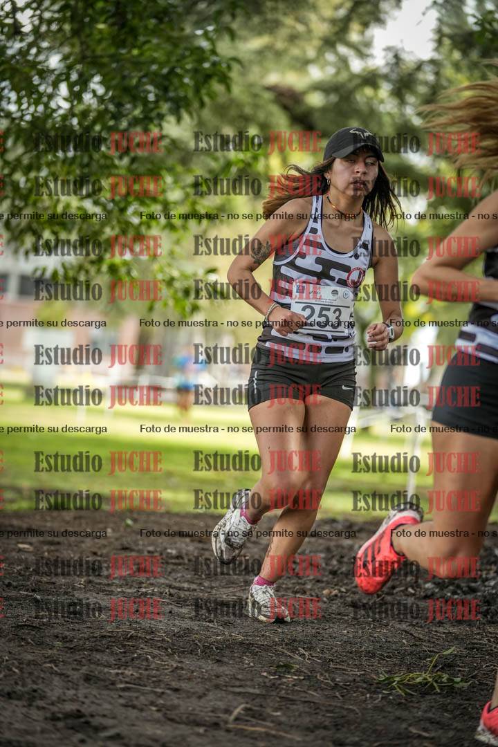 Fotos en el circuito