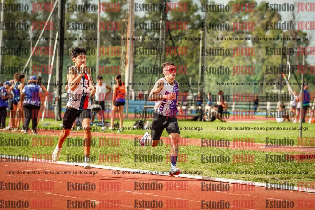 Fotos de los 800 m llanos de varones