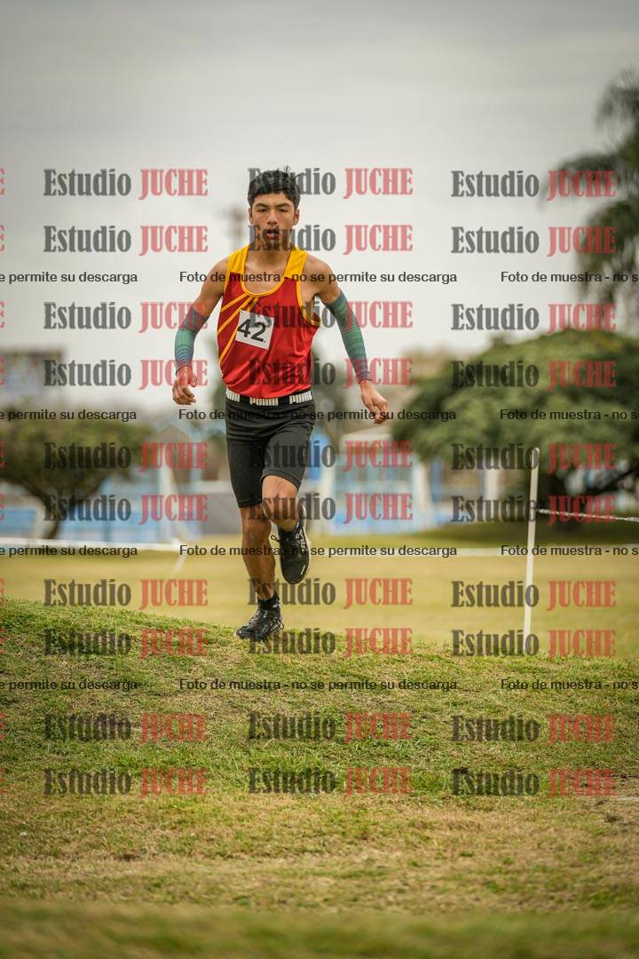 Fotos en el circuito