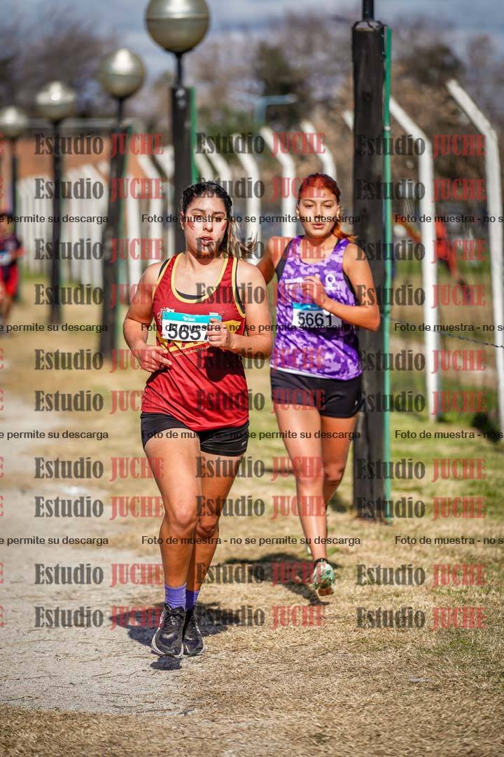 Fotos en el circuito