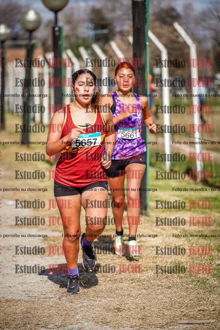 Fotos en el circuito