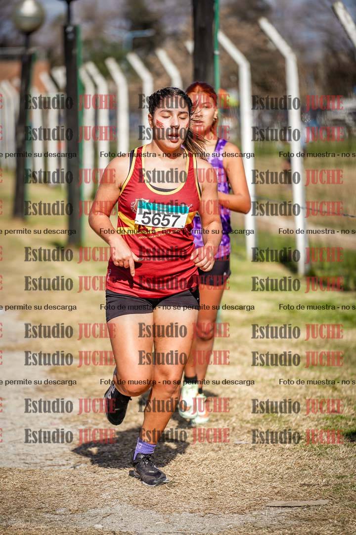 Fotos en el circuito