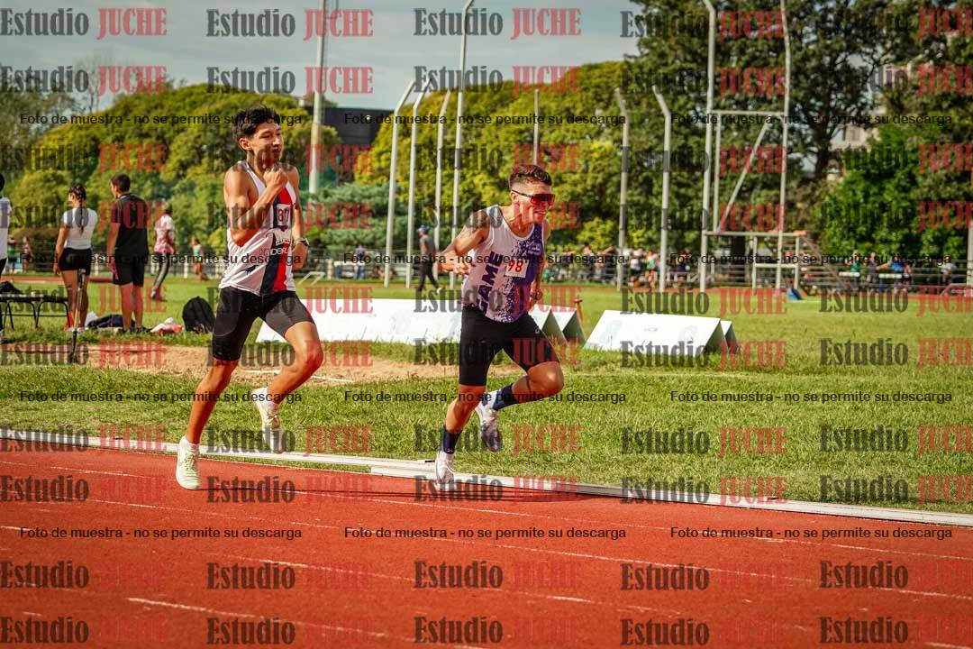 Fotos de los 800 m llanos de varones