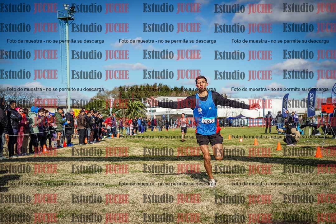 Fotos de las llegadas