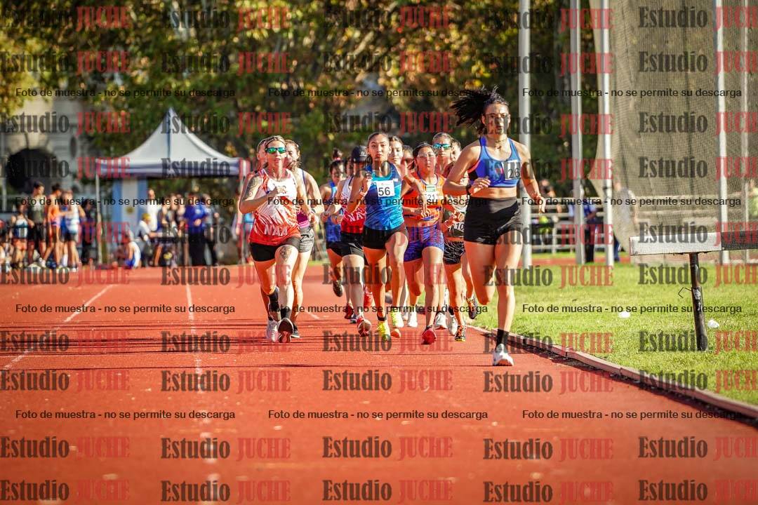 Fotos de los 1500 m de mujeres