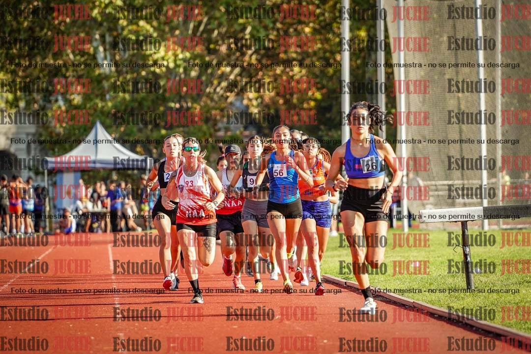 Fotos de los 1500 m de mujeres