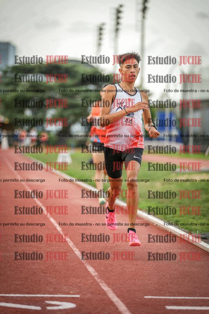 Fotos de los 3000 m llanos de varones