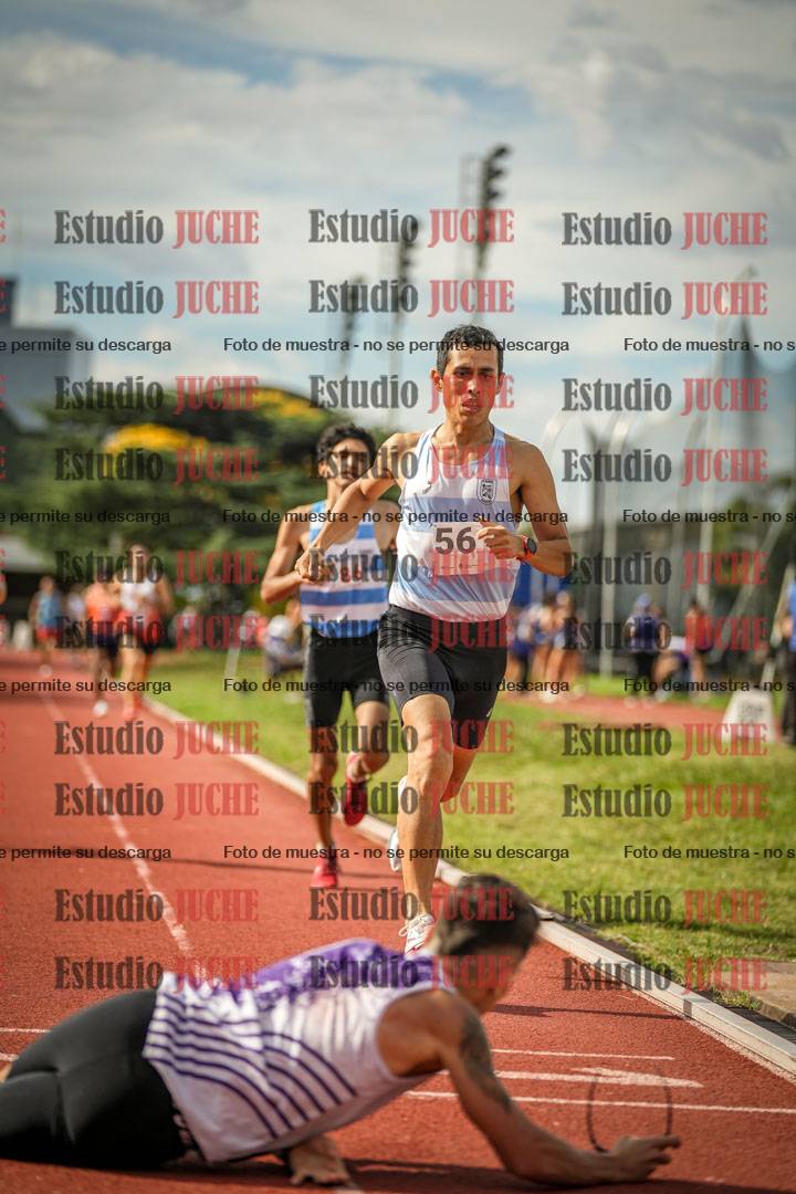 Fotos de los 800 m llanos de varones