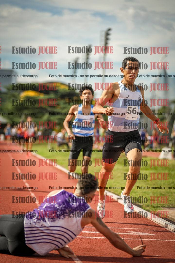 Fotos de los 800 m llanos de varones