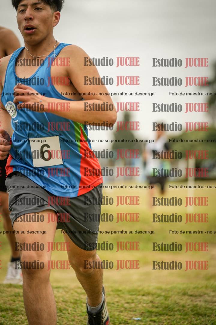 Fotos en el circuito
