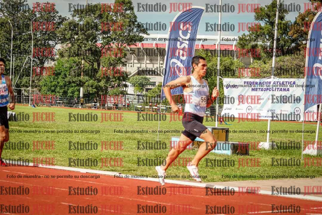 Fotos de los 800 m llanos de varones