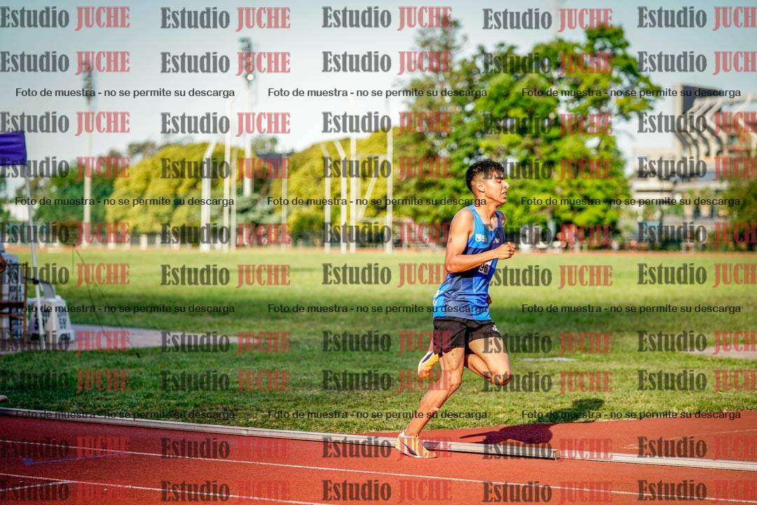 Fotos de los 1500 m llanos de varones