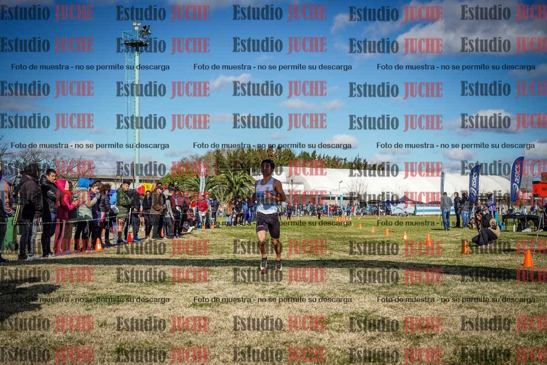 Fotos de las llegadas
