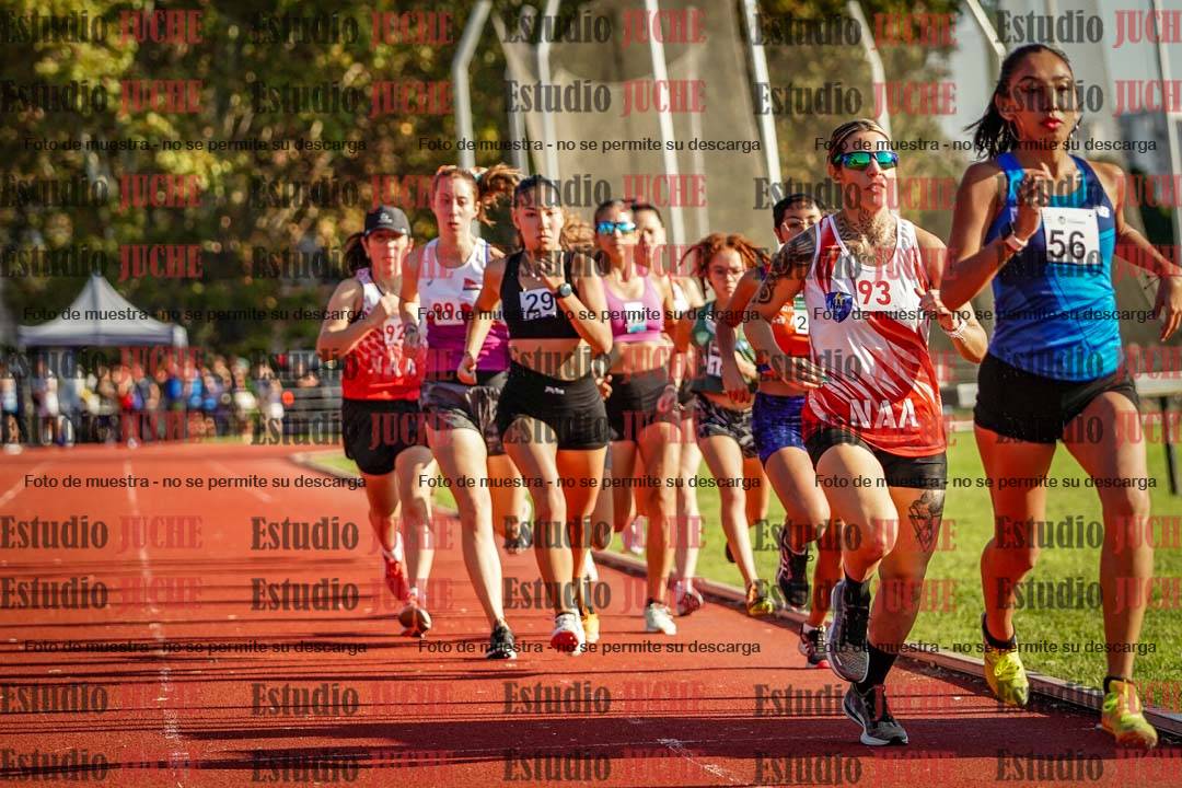 Fotos de los 1500 m de mujeres