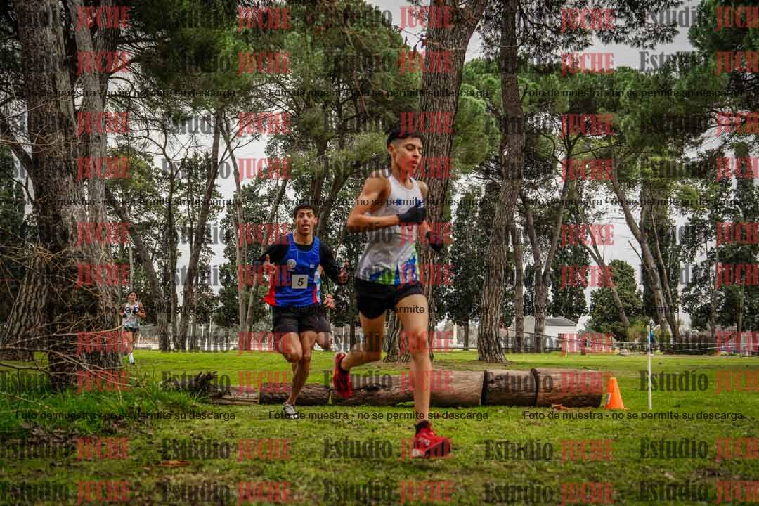 Fotos en el circuito