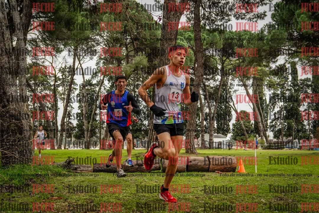 Fotos en el circuito