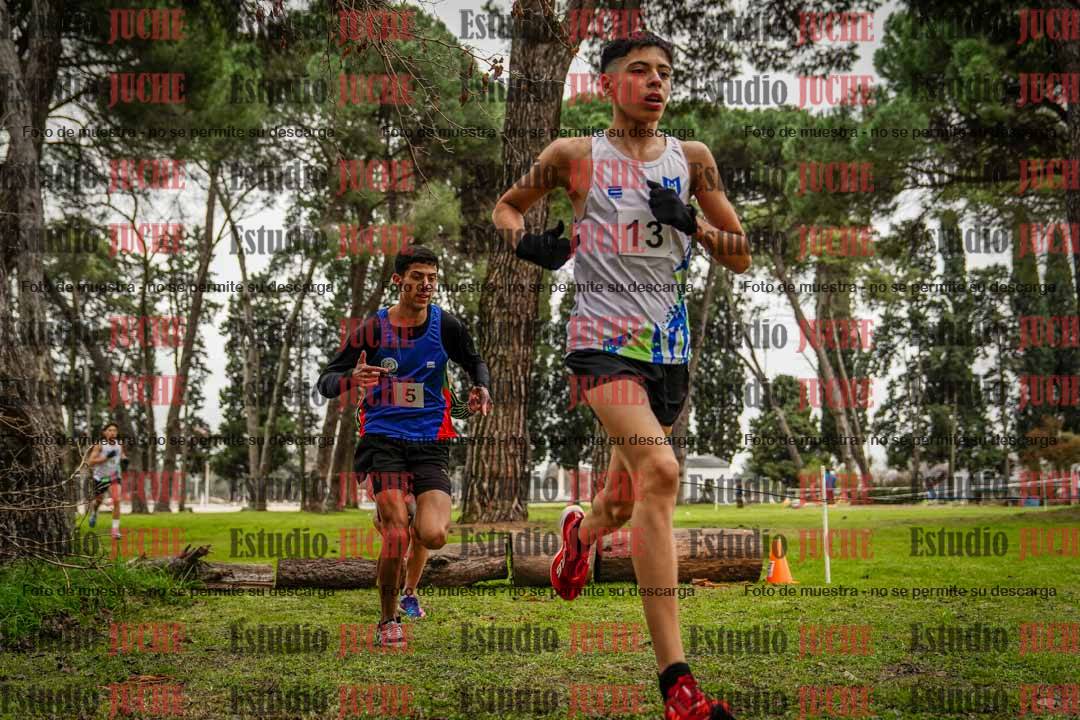 Fotos en el circuito