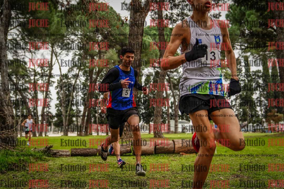 Fotos en el circuito