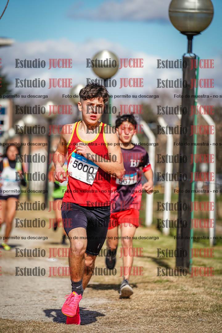 Fotos en el circuito