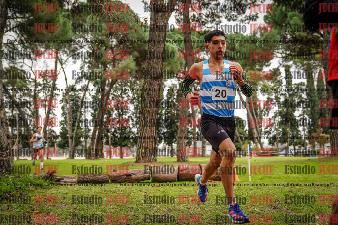 Fotos en el circuito