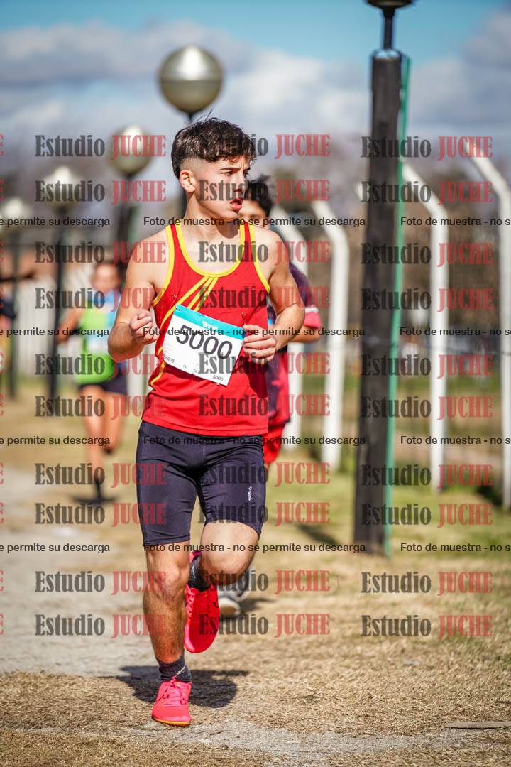 Fotos en el circuito