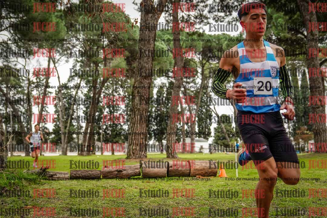 Fotos en el circuito