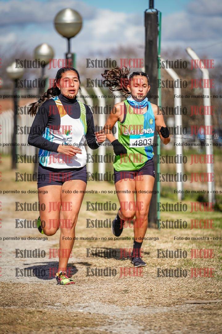 Fotos en el circuito