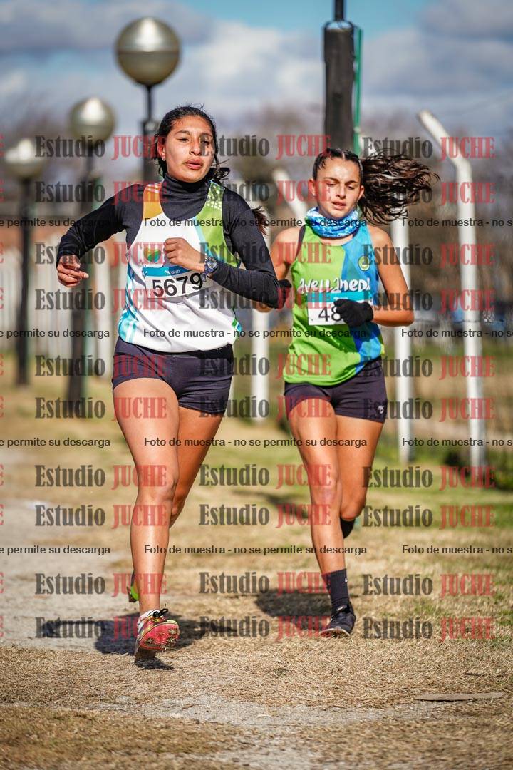 Fotos en el circuito