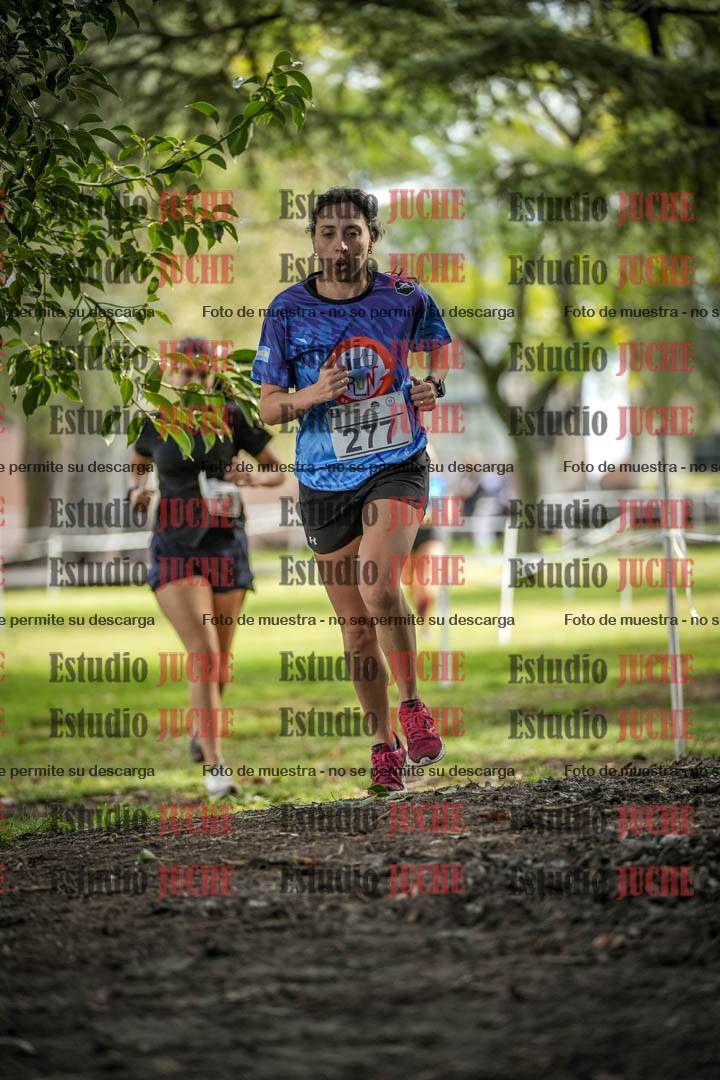 Fotos en el circuito