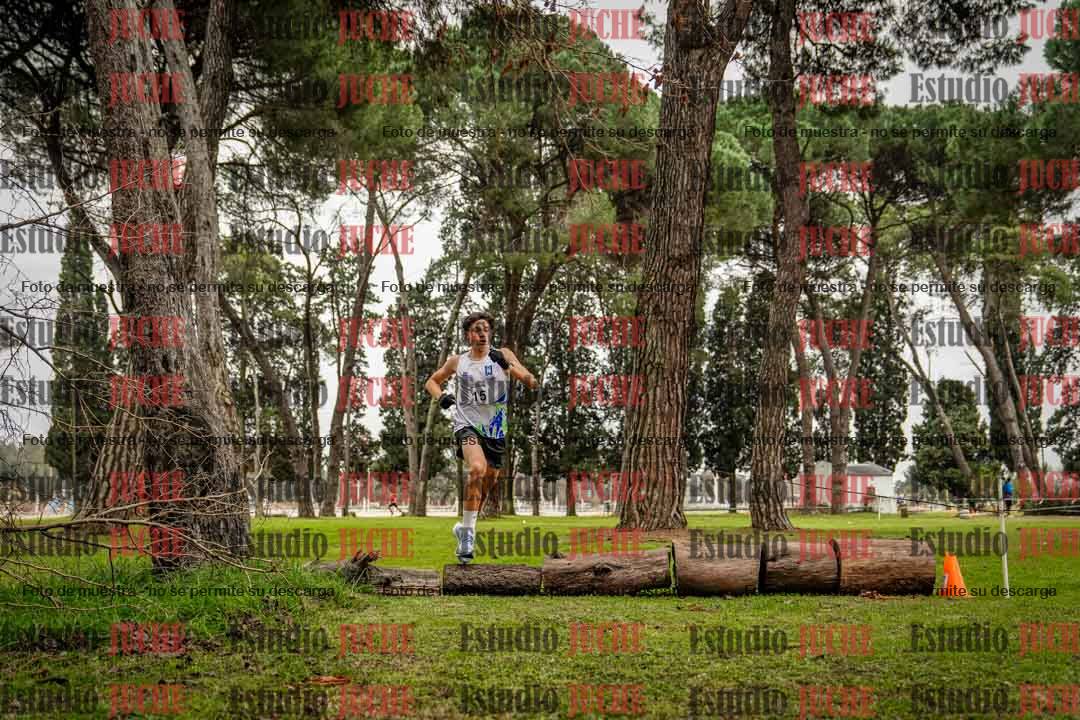 Fotos en el circuito