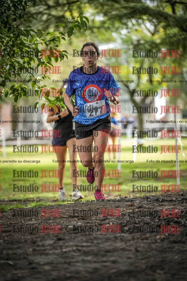 Fotos en el circuito