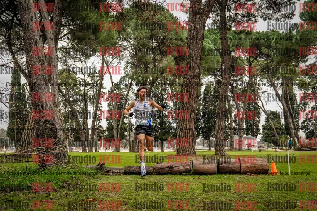 Fotos en el circuito