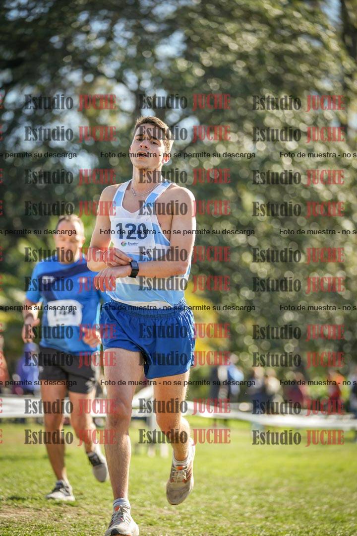 Fotos de la llegada del cross de 8000 m