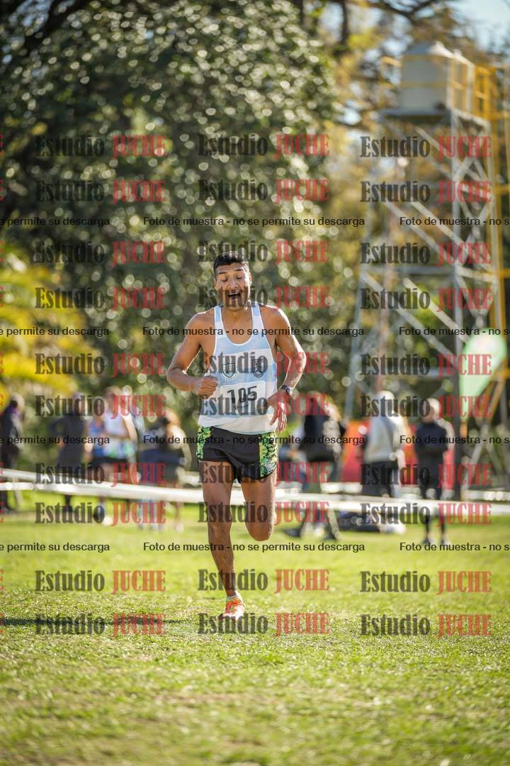 Fotos de la llegada del cross de 8000 m