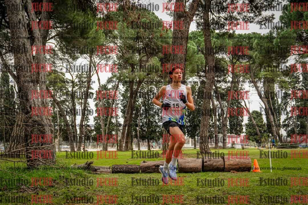 Fotos en el circuito