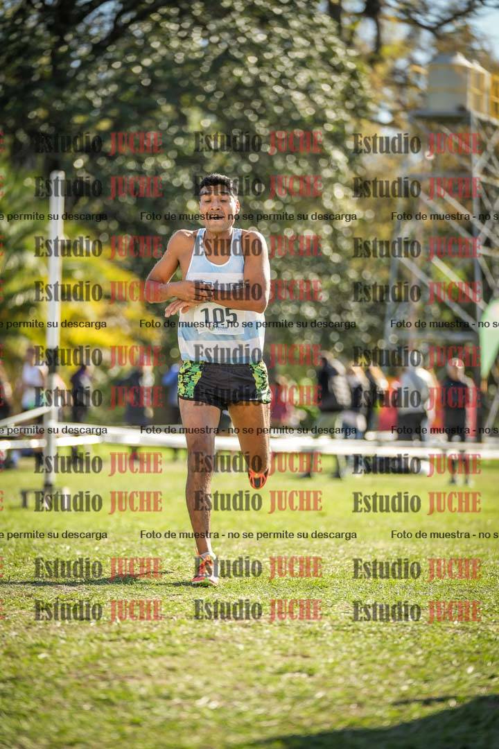 Fotos de la llegada del cross de 8000 m