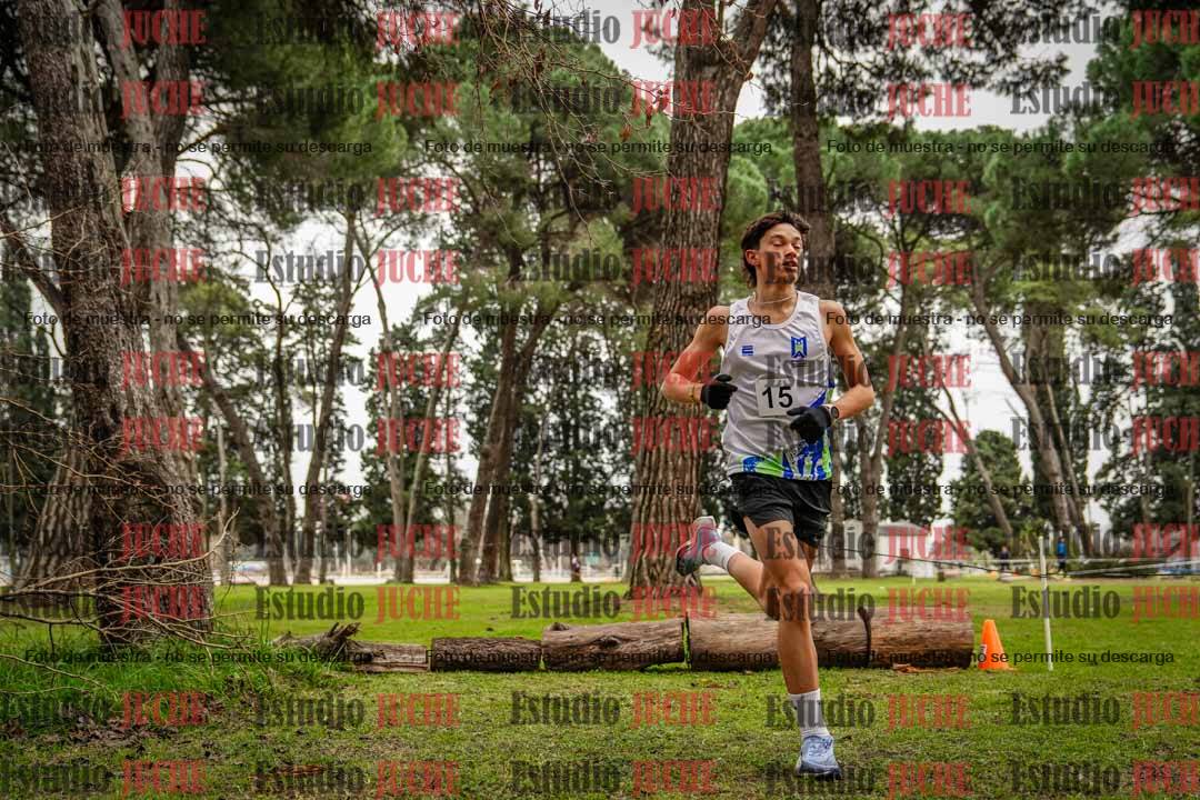 Fotos en el circuito