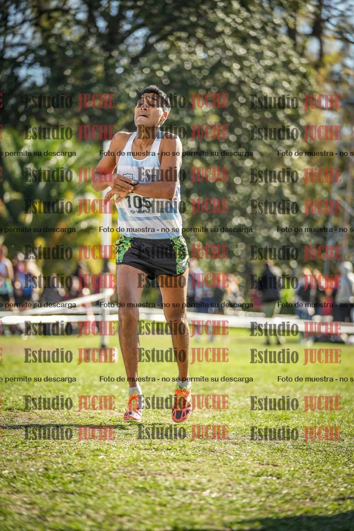 Fotos de la llegada del cross de 8000 m