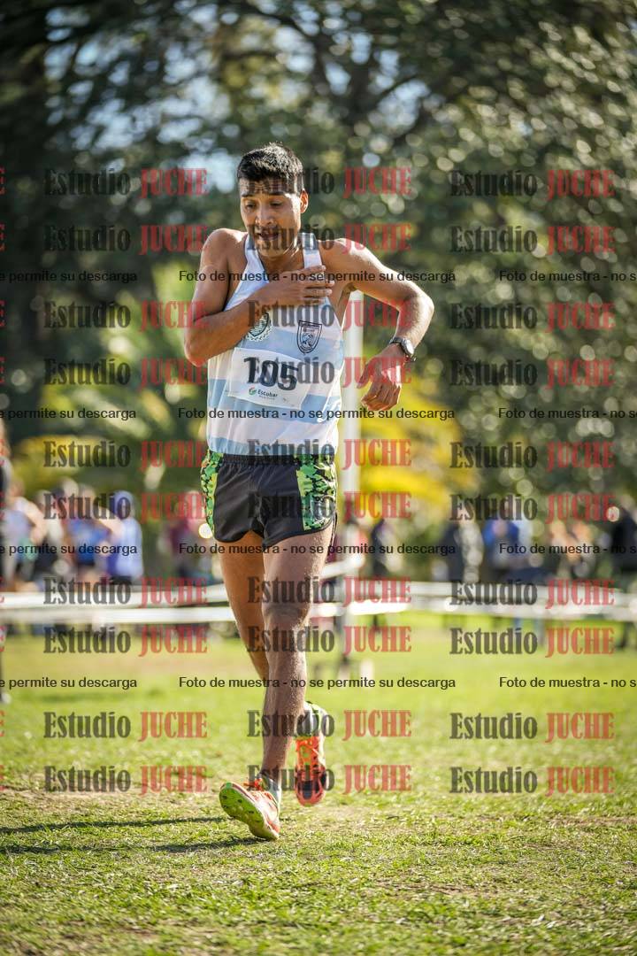 Fotos de la llegada del cross de 8000 m
