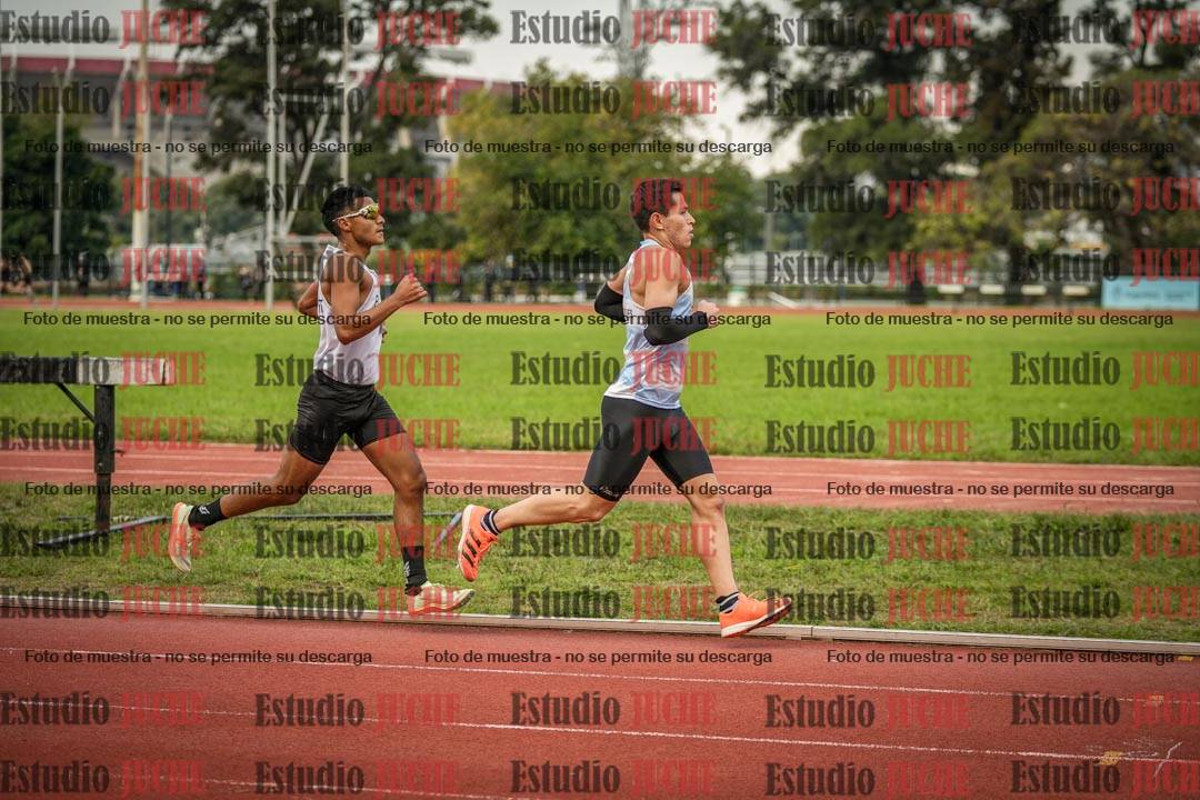 Fotos de los 5000 m llanos